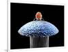 Nanorobot on Pin-Christian Darkin-Framed Photographic Print