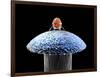 Nanorobot on Pin-Christian Darkin-Framed Photographic Print