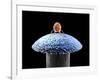 Nanorobot on Pin-Christian Darkin-Framed Photographic Print