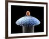 Nanorobot on Pin-Christian Darkin-Framed Photographic Print