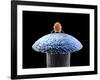 Nanorobot on Pin-Christian Darkin-Framed Photographic Print