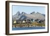 Nanortalik, southern Greenland, Polar Regions-Tony Waltham-Framed Photographic Print