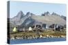 Nanortalik, southern Greenland, Polar Regions-Tony Waltham-Stretched Canvas