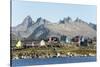 Nanortalik, southern Greenland, Polar Regions-Tony Waltham-Stretched Canvas