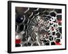 Nanotube Drug Delivery, Artwork-Equinox Graphics-Framed Photographic Print