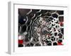 Nanotube Drug Delivery, Artwork-Equinox Graphics-Framed Photographic Print