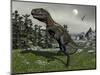 Nanotyrannus Dinosaur Amongst Tempskya Trees at Night-Stocktrek Images-Mounted Art Print