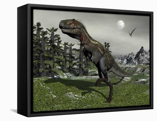 Nanotyrannus Dinosaur Amongst Tempskya Trees at Night-Stocktrek Images-Framed Stretched Canvas