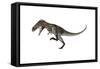 Nanotyrannus Dinosaur Roaring-Stocktrek Images-Framed Stretched Canvas