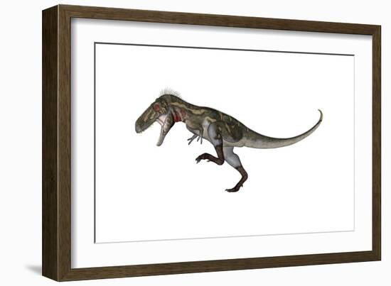 Nanotyrannus Dinosaur Roaring-Stocktrek Images-Framed Art Print