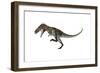 Nanotyrannus Dinosaur Roaring-Stocktrek Images-Framed Art Print