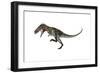 Nanotyrannus Dinosaur Roaring-Stocktrek Images-Framed Art Print