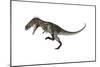 Nanotyrannus Dinosaur Roaring-Stocktrek Images-Mounted Art Print