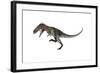 Nanotyrannus Dinosaur Roaring-Stocktrek Images-Framed Art Print