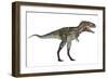 Nanotyrannus Dinosaur-Stocktrek Images-Framed Art Print