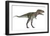 Nanotyrannus Dinosaur-Stocktrek Images-Framed Premium Giclee Print