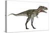 Nanotyrannus Dinosaur-Stocktrek Images-Stretched Canvas