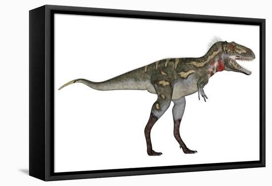 Nanotyrannus Dinosaur-Stocktrek Images-Framed Stretched Canvas