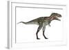 Nanotyrannus Dinosaur-Stocktrek Images-Framed Art Print