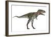 Nanotyrannus Dinosaur-Stocktrek Images-Framed Art Print