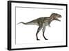 Nanotyrannus Dinosaur-Stocktrek Images-Framed Art Print