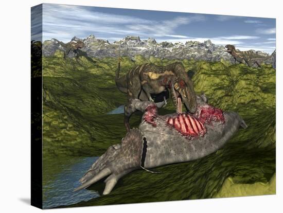 Nanotyrannus Eating the Carcass of a Dead Triceratops-Stocktrek Images-Stretched Canvas