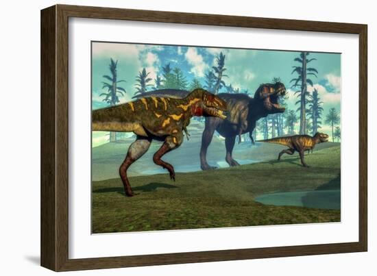 Nanotyrannus Hunting a Small Tyrannosaurus Next to its Parent-Stocktrek Images-Framed Art Print