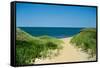 Nantucket Beach Dunes Photo Poster-null-Framed Stretched Canvas