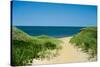 Nantucket Beach Dunes Photo Poster-null-Stretched Canvas