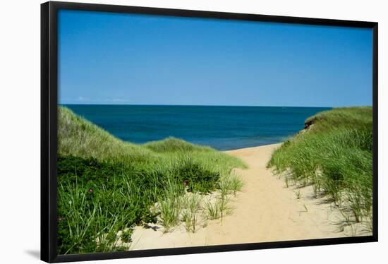 Nantucket Beach Dunes Photo Poster-null-Framed Poster