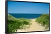 Nantucket Beach Dunes Photo Poster-null-Framed Poster