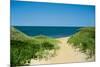 Nantucket Beach Dunes Photo Poster-null-Mounted Poster