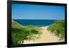 Nantucket Beach Dunes Photo Poster-null-Framed Poster