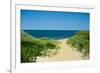 Nantucket Beach Dunes-null-Framed Photo