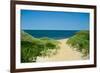 Nantucket Beach Dunes-null-Framed Photo