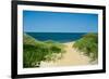 Nantucket Beach Dunes-null-Framed Photo