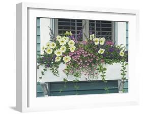 Nantucket Bloom-Bruce Dumas-Framed Giclee Print