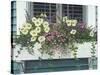 Nantucket Bloom-Bruce Dumas-Stretched Canvas