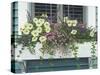 Nantucket Bloom-Bruce Dumas-Stretched Canvas