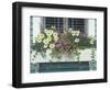 Nantucket Bloom-Bruce Dumas-Framed Giclee Print