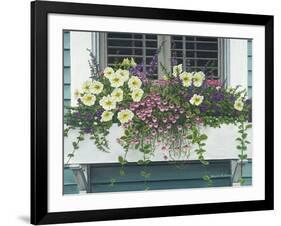 Nantucket Bloom-Bruce Dumas-Framed Giclee Print