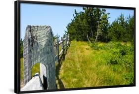 Nantucket Island Weathered Wood Fence Photo Poster-null-Framed Poster