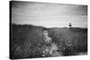 Nantucket Light-Aledanda-Stretched Canvas