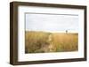 Nantucket lighthouse-null-Framed Photographic Print