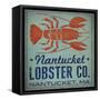 Nantucket Lobster Square-Ryan Fowler-Framed Stretched Canvas