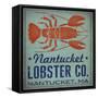 Nantucket Lobster Square-Ryan Fowler-Framed Stretched Canvas