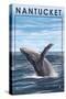 Nantucket, Massachusetts - Humpback Whale-Lantern Press-Stretched Canvas