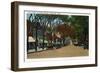 Nantucket, Massachusetts - Main Street View of Business Section-Lantern Press-Framed Art Print