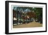 Nantucket, Massachusetts - Main Street View of Business Section-Lantern Press-Framed Art Print