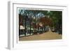 Nantucket, Massachusetts - Main Street View of Business Section-Lantern Press-Framed Art Print